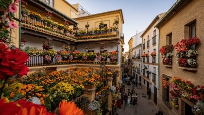 Festival de los Patios de Córdoba 2026: fechas, horarios, mapa y barrios