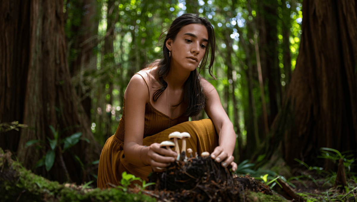 «Micelio», de Laura Giordani