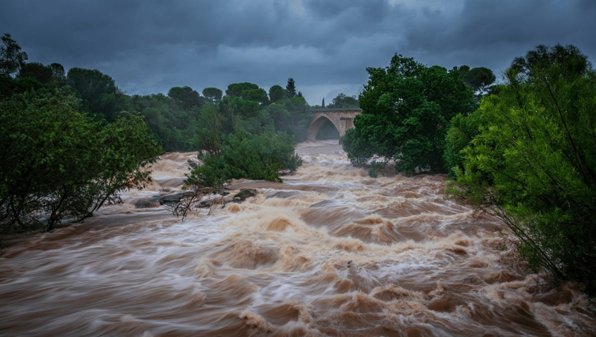 Río Guadiaro