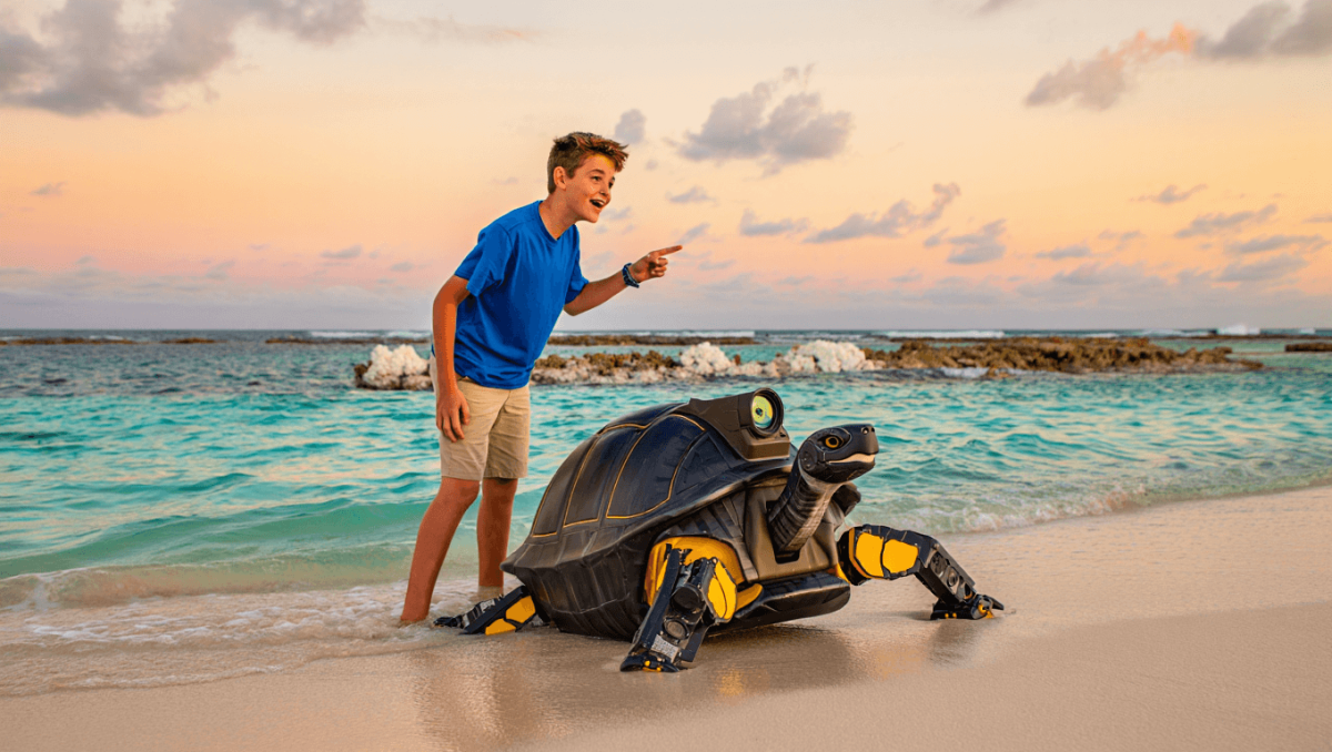 Un 96% de acierto detectando coral enfermo: un adolescente de 15 años crea una tortuga robot en la piscina de sus abuelos para proteger los océanos