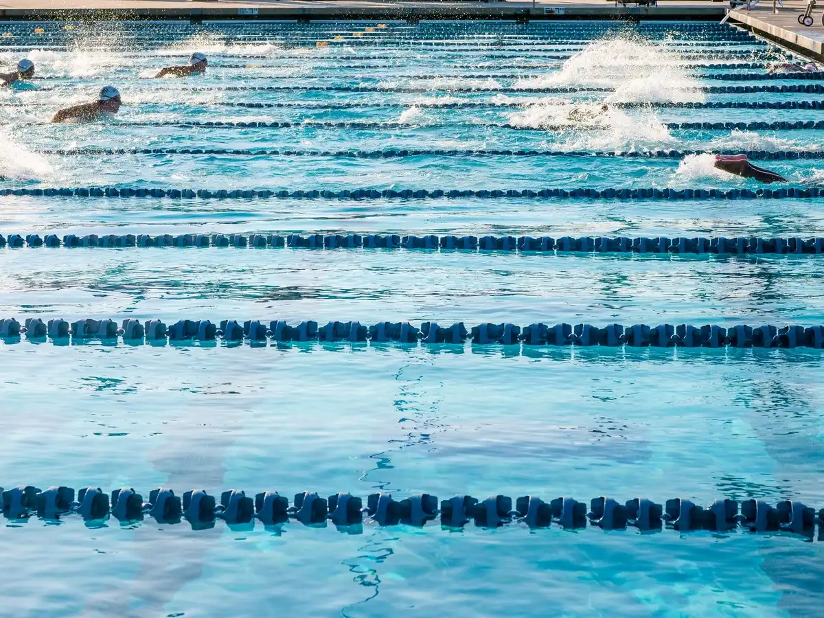 Nadadores en una carrera de relevos, saltando a la piscina durante una competición de natación.