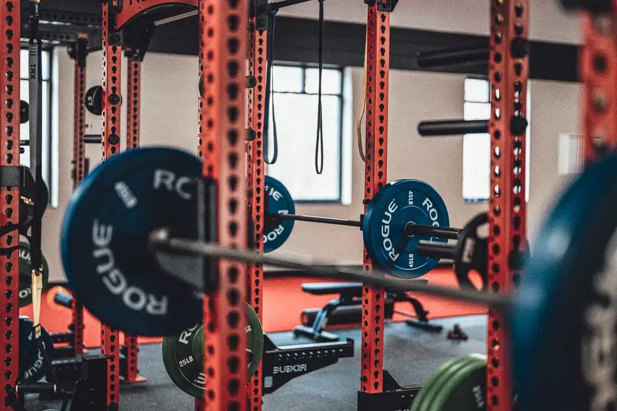 Ejercicios compuestos como sentadilla y press de banca en gimnasio