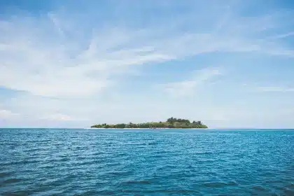 Pequeño avión acercándose a una isla remota de Alaska sobre aguas y bosques densos