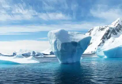Ballena emergiendo en aguas árticas con fragmentos de hielo flotante y luz polar de fondo.