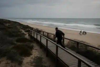Playas andaluzas reciben 6 millones para recuperar y proteger la costa