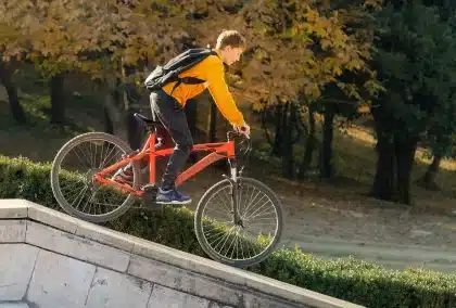 Calle de pueblo al amanecer con dos bicicletas junto a muros de piedra y huertos